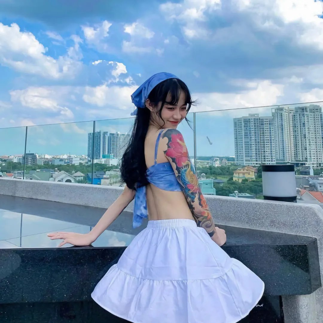 鸽之翼